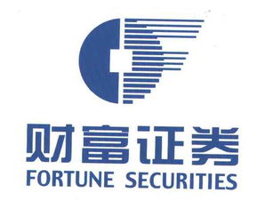 财富证券有限责任公司 如何利用天眼查进行高效金融信息咨询